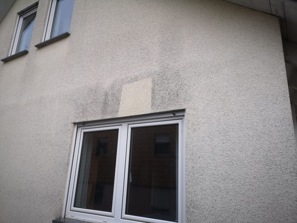 Probefläche